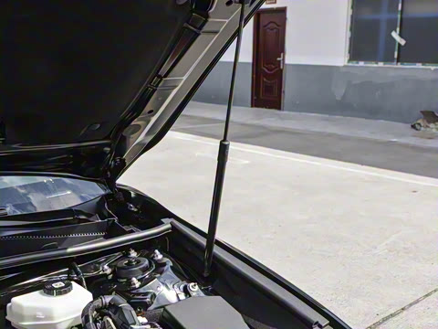 2026�� ˫�� 2.5HG ����