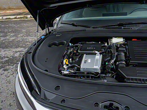 2025�� DM-i �Ǽݰ� 245KM������