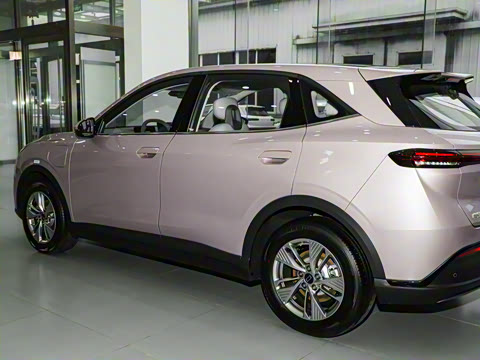 2025�� 565km ������