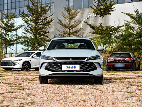 2026�� DM-i 210KM��Խ��