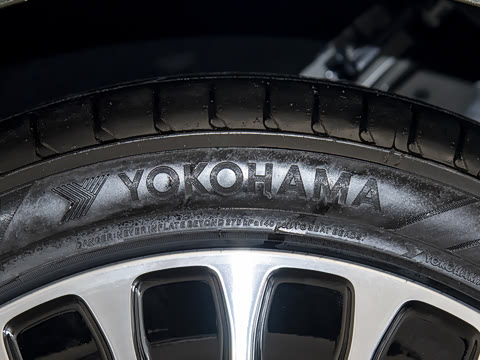 2025�� ���� Max��������