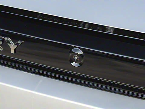 2025�� 520���������