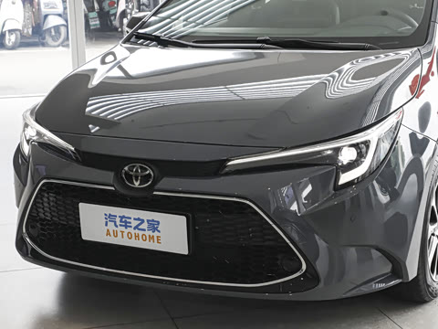 2026�� ����L 185T ������