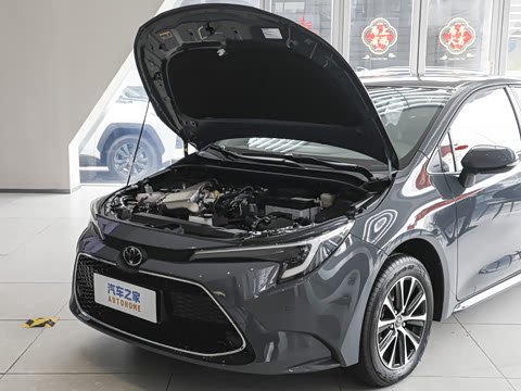 2026�� ����L 185T ������