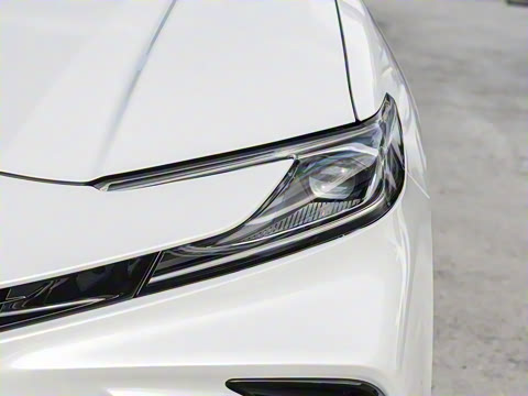 2026�� ˫�� 2.5HXS �˶�Plus��