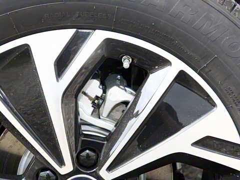 2026�� DM-i 133KM��Խ��