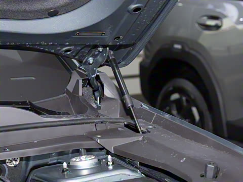 2026�� 1.5TD ˫��Ϻ��� 7��