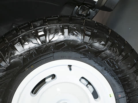 2025�� 2.3T 1966��Ű�