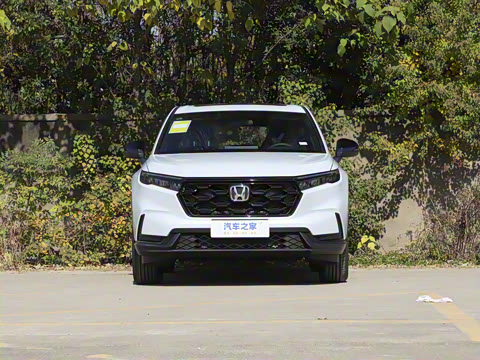 2026�� ȫ��30����ҫ�� 2.0L e:HEV �������а�