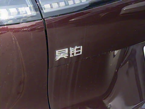 2025�� 825 Pro��