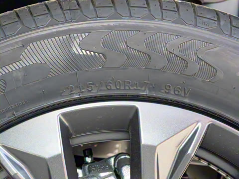 2026�� Ӱ�� 270T ��ȡ��