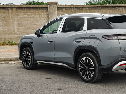 2026�� DM-i 310KM ��Խ��