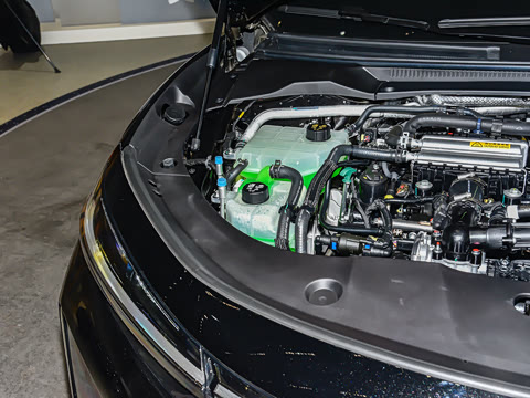 2025�� ������