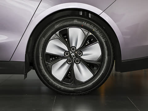 2026�� ���� 565 Plus