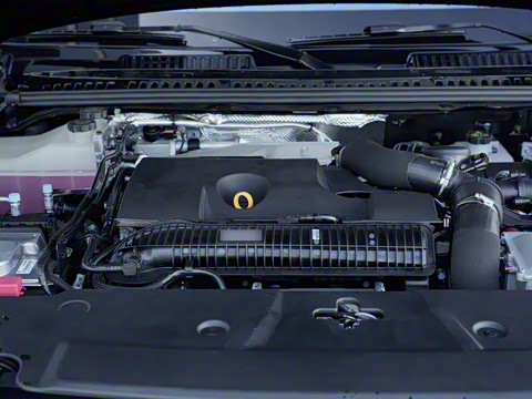 2025�� ������