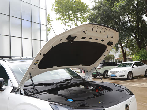 2026�� ������������Plus