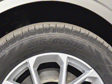 2026�� 125kmԶ����