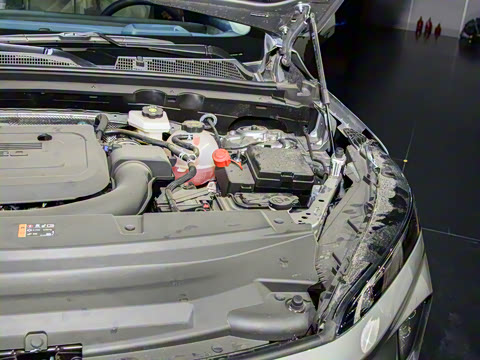 2025�� ��ά�� ����й���