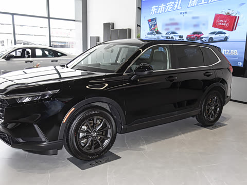 2026�� ȫ��30����ҫ�� 1.5T ��������5����