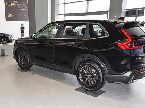 2026�� ȫ��30����ҫ�� 1.5T ��������5����