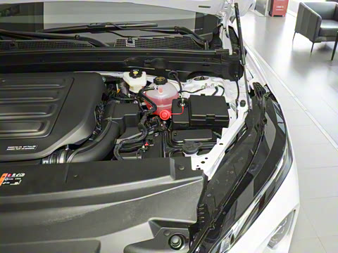 2026�� 25T �����׽��