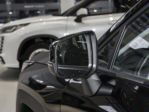 2026�� 2.0L ���ܵ��˫�� PRO