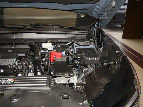 2025�� �Ŀ� 2.0T ����������