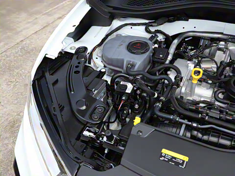 2026�� 300TSI DSG���������