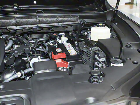 2025�� 300 ����������