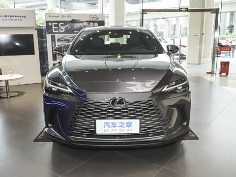 2025�� 300 ����������