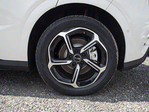 2025�� �Ǽݰ� 505���˰�