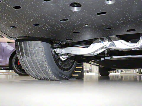 2025�� ���� Max+ ������������ 