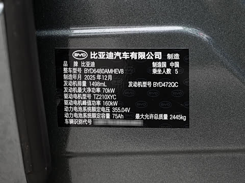 2025�� DM-i 205�캽Pro��