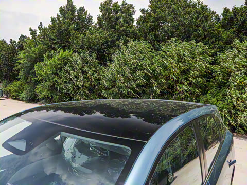 2026�� ��ƽ�� ������������