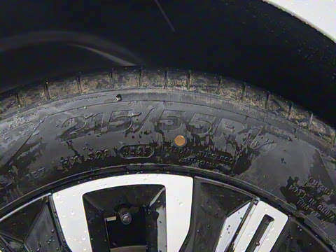 2025�� ��� 125km ������