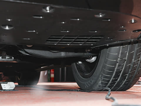 2026�� ���� Max+ ��������