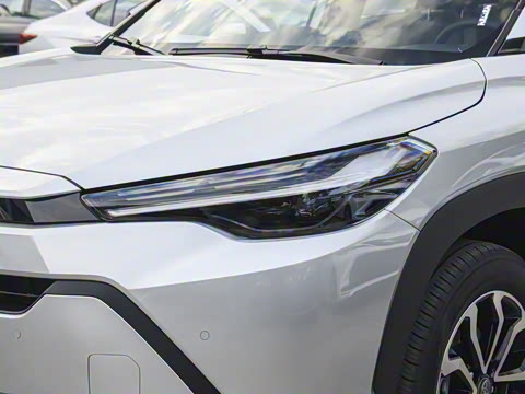 2026�� 2.0L ���ܵ��˫�� ������