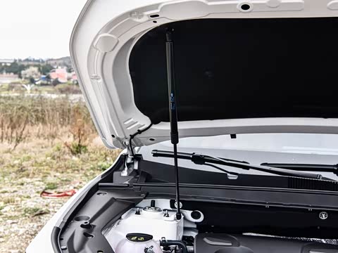 2026�� �ھ��� 1.5T DCT����+ 7��