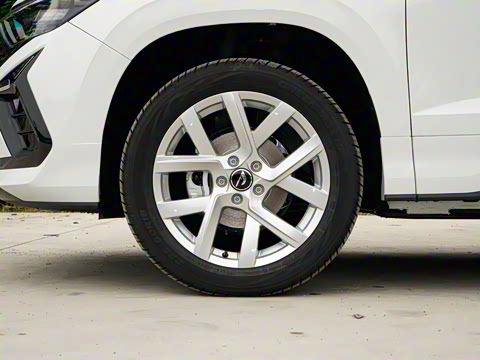 2026�� 280TSI �ֶ�����Plus��