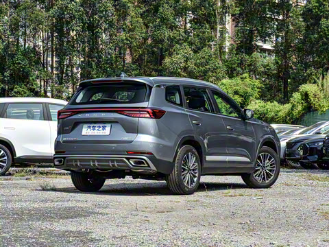 2025�� 290T ��������+