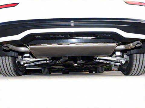 2026�� B4 ��Զ�˶���