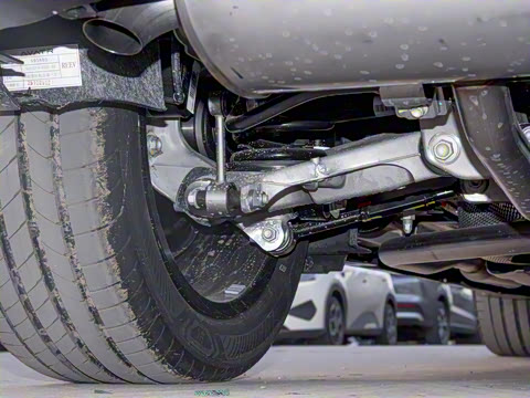 2026�� Elite ���̰�