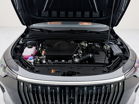 2026�� 1.5L ��ð�