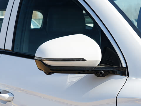 2026�� DM-i 220KM��Խ��