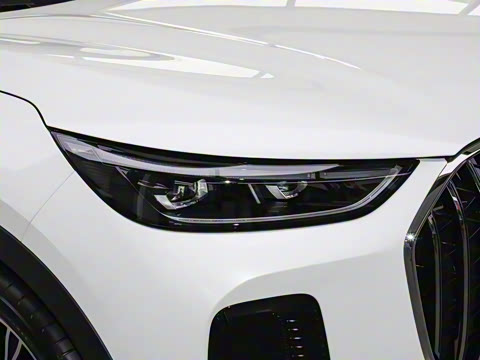 2026�� 9X 2.0T �Զ����������