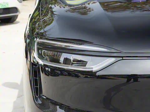 2026�� ���� Max�������� 5��