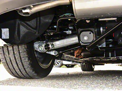 2026�� �����������̰� 310������