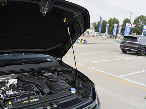 2026�� L 300TSI DSG ʱ����