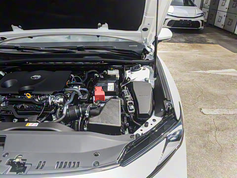 2026�� 2.0S �˶���