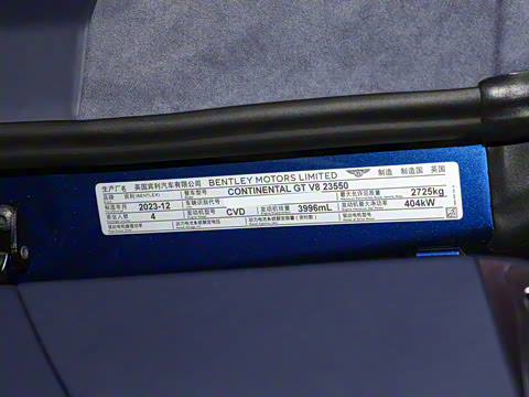 2024�� 4.0T GT V8